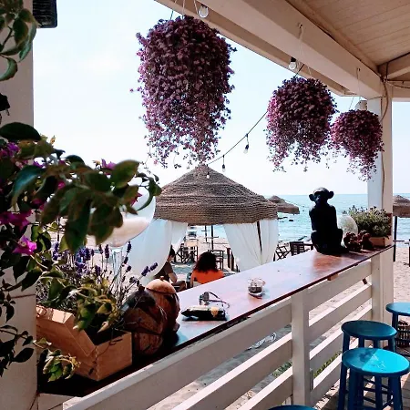 Purple Italy *