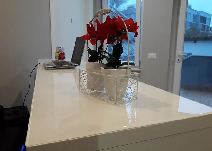 Panzió Purple Italy