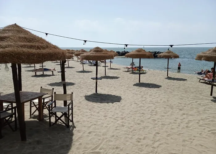 Panzió Purple Italy